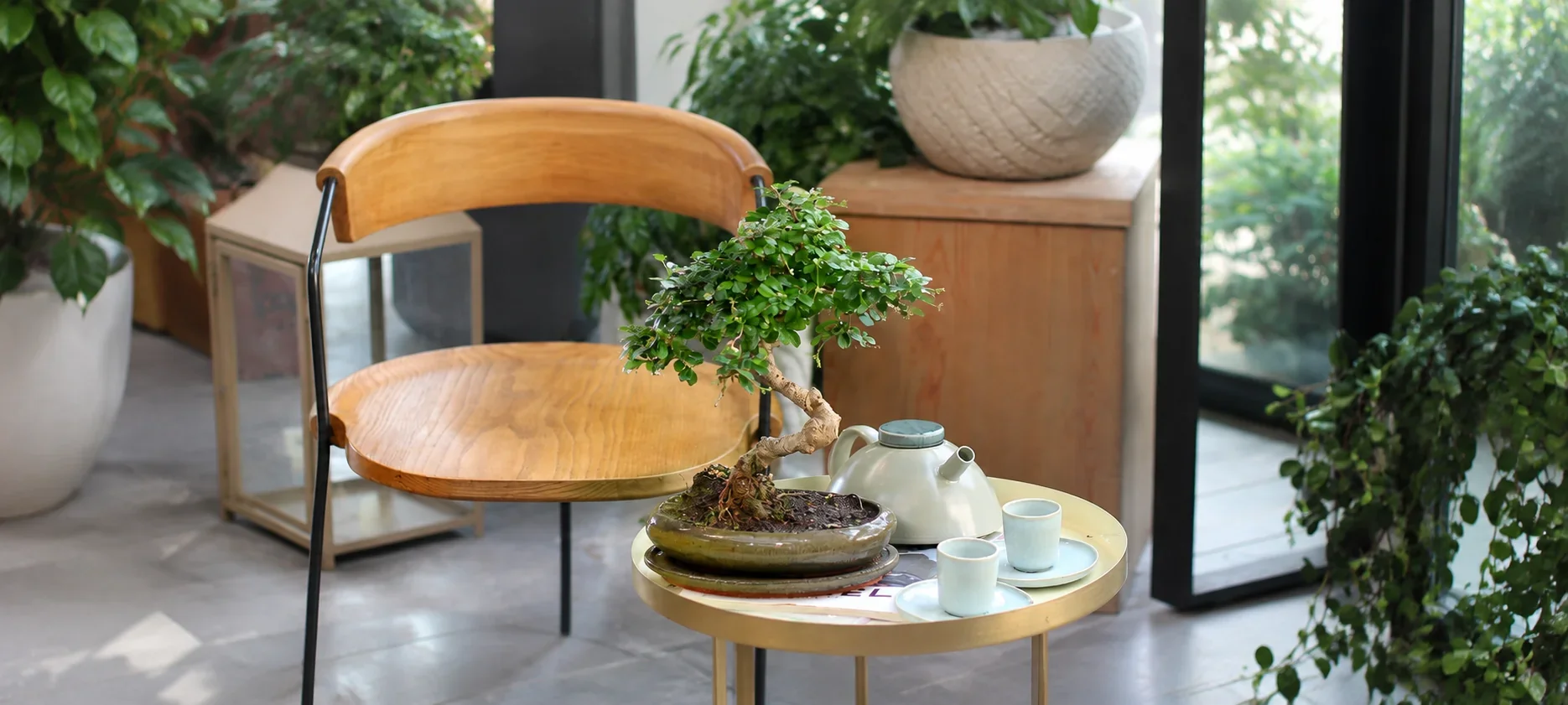 Exotica storefront